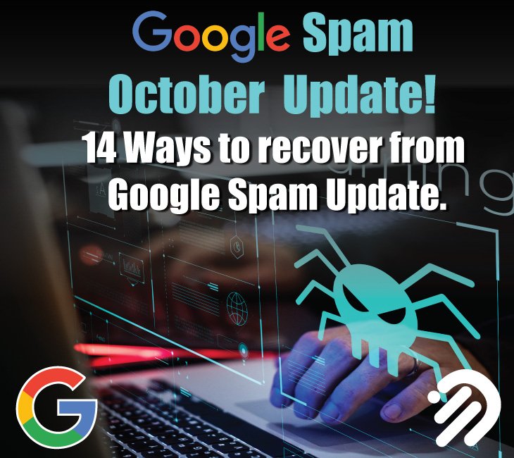 SEO Google Ranking – 14 Ways to recover from Google Spam Update October 2022.